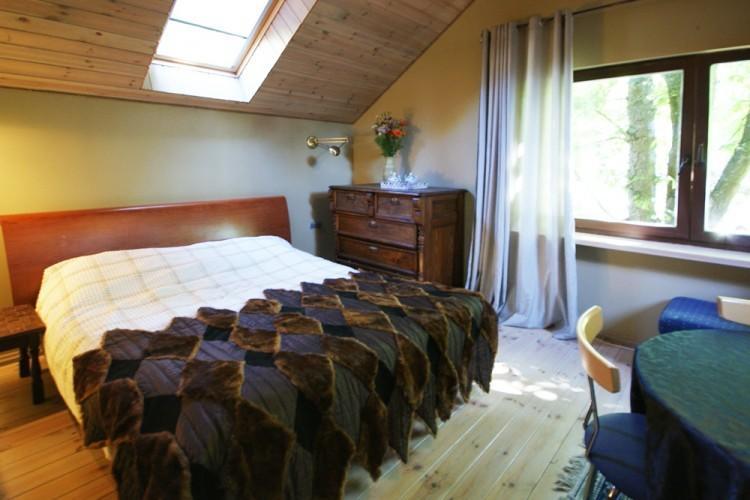 Guest House Darius Ir Girenas Palanga Zimmer foto